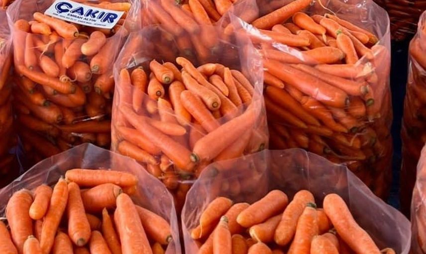 Acıpayam çakır havucu menşe adıyla coğrafi işaret aldı