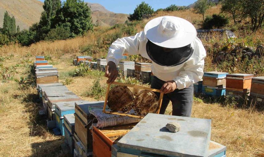 Dağ çiçeklerinden sofralara: Beytüşşebap'ta arıcıların rekolte sevinci