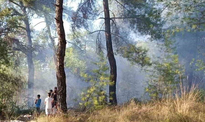 Köyceğiz’de Sancı Mahallesi'nde ağaçlık alanda çıkan yangın kısa sürede söndürüldü