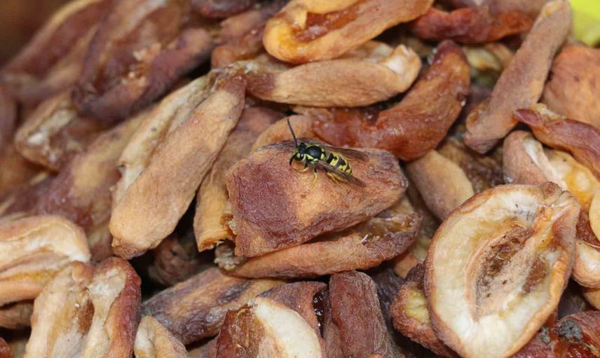 Yaban arıları Sivas tezgahlarını mesken tutunca esnaf satış kaybı yaşıyor