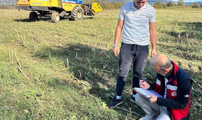Simav’da hasat zamanı: ayçiçeği tarlalarında yerinde denetim