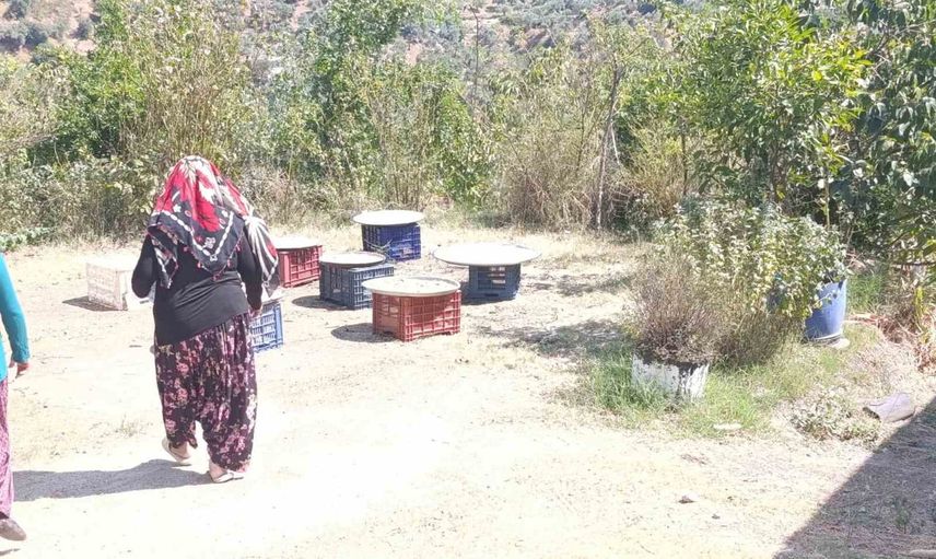 Başçayırda kış dayanışması: kadınlar menengiçli tarhana hazırlıyor