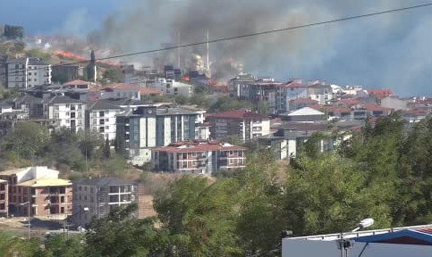 Süleymanpaşa'da alevlerden kurtarılan kaplumbağa vatandaşa emanet edildi