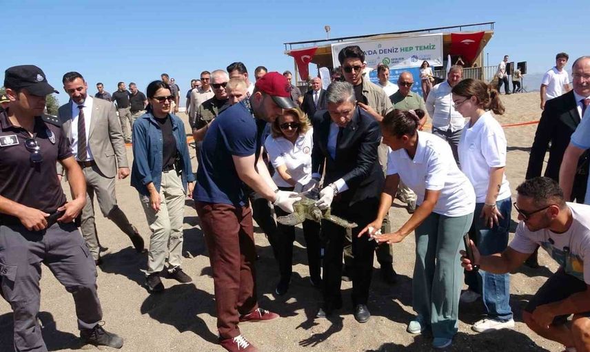 Hanzala denize geri dönüyor: uydu izleme ile göç yolları kayıt altında