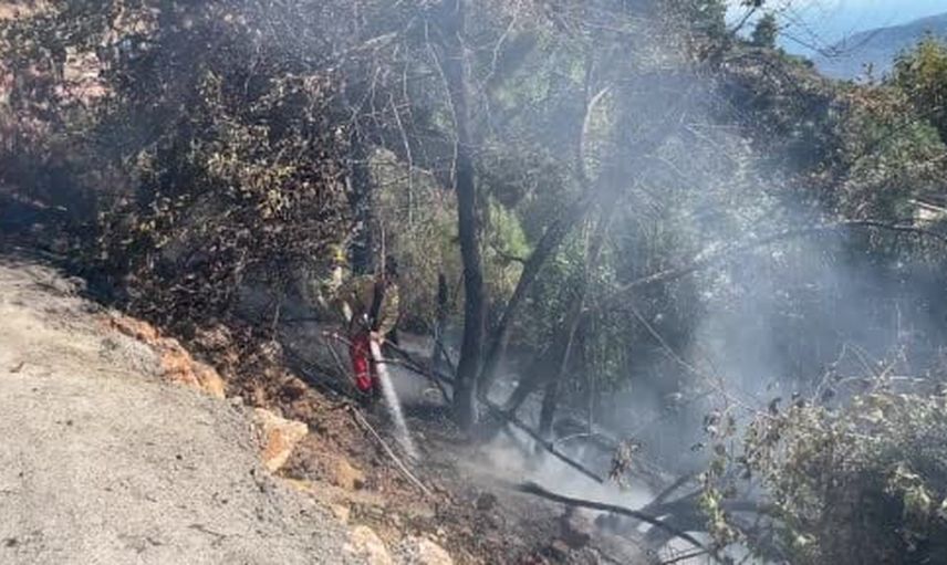 Alanya Bektaş'ta çalılık yangını ekiplerin müdahalesiyle kısa sürede kontrol altına alındı