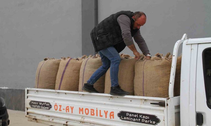 Çarşamba'da fındık üreticileri değer için TMO'ya yöneldi