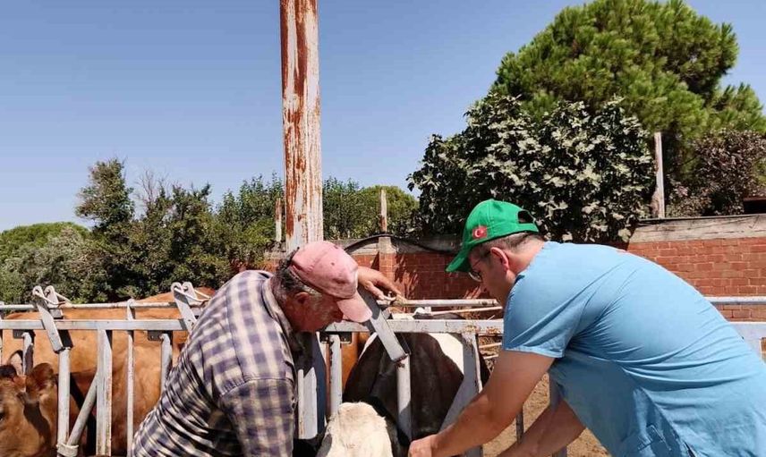 Söke'de düşen kulak küpeleri için zamanlı başvuru çağrısı