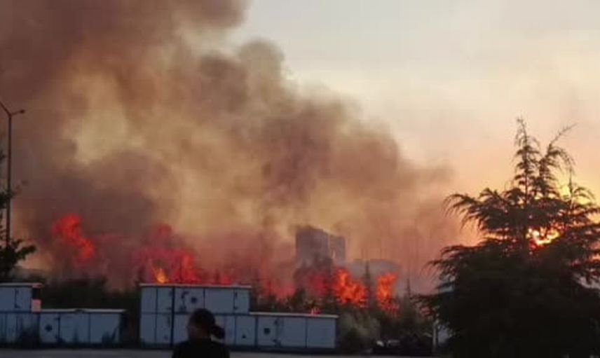 Etimesgut'ta rüzgarla yayılan ağaçlık yangınına müdahale sürüyor