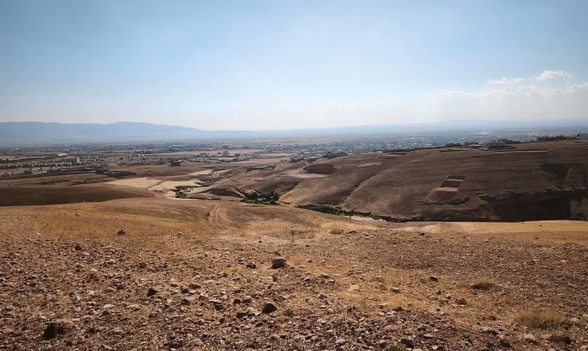 Yeşil dönüşüm için Silopi'de ağaçlandırma çalışmaları başladı