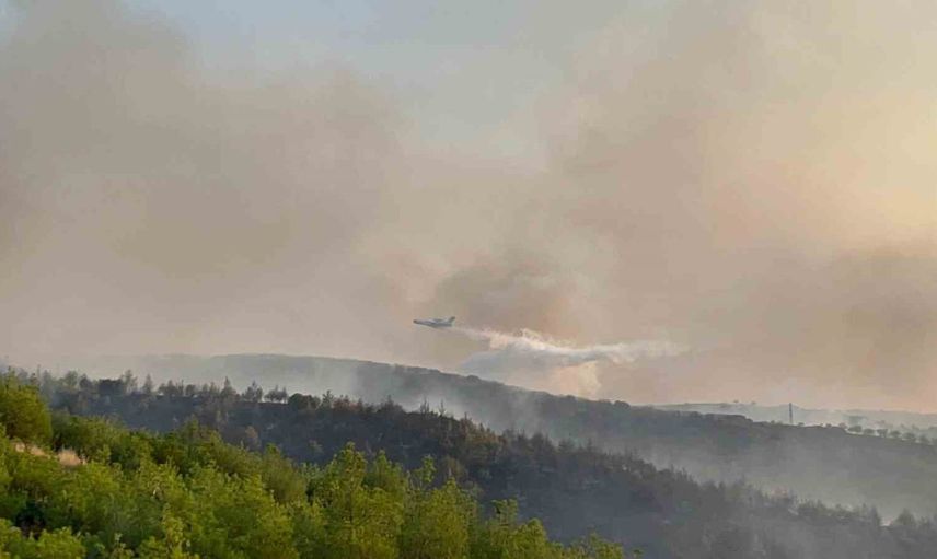 manisa'da üç günlük teyakkuz: orman yangını riskine karşı önlemler sıkılaştırıldı
