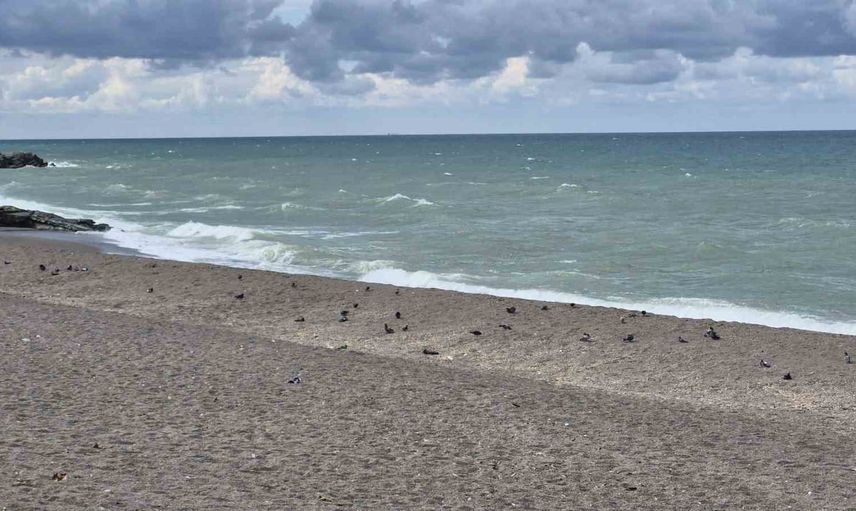 Akçakoca'da yazın hareketliliği yerini martılara ve güvercinlere bıraktı