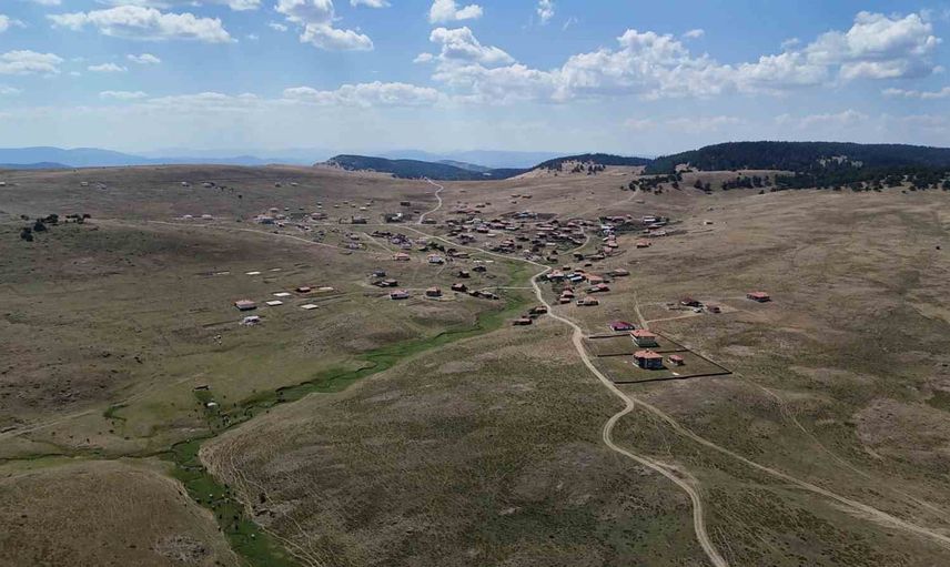 Yaz sıcağında yayla hayatı: Kızılcahamam'da yılkı atları sürüsü