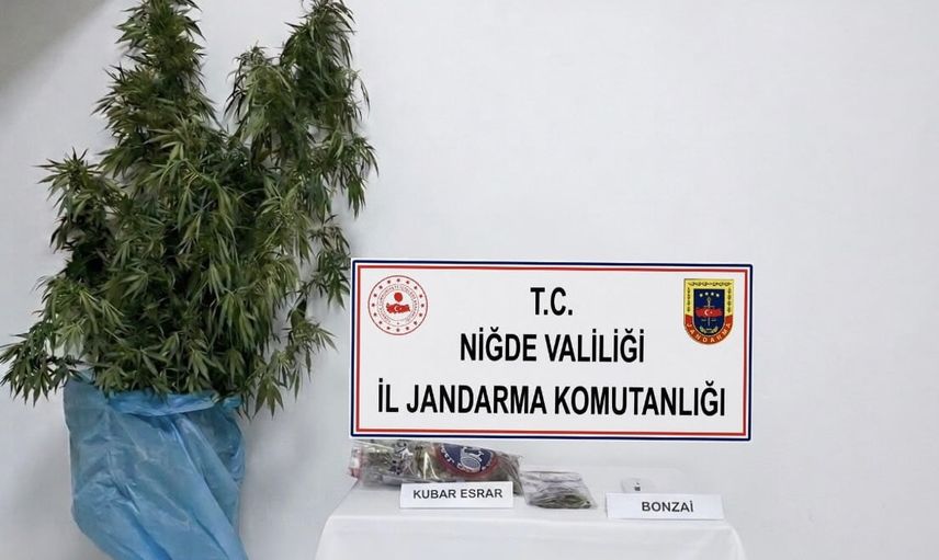 Kemerhisar'da jandarma operasyonunda uyuşturucu ve kenevir kökleri ele geçirildi