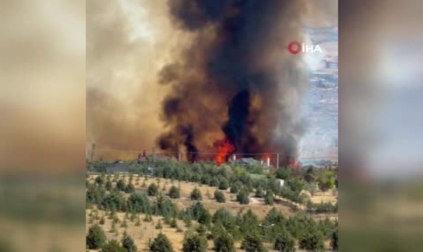 Gölbaşı'nda ormanlık alanda yangın üzerine itfaiye harekete geçti