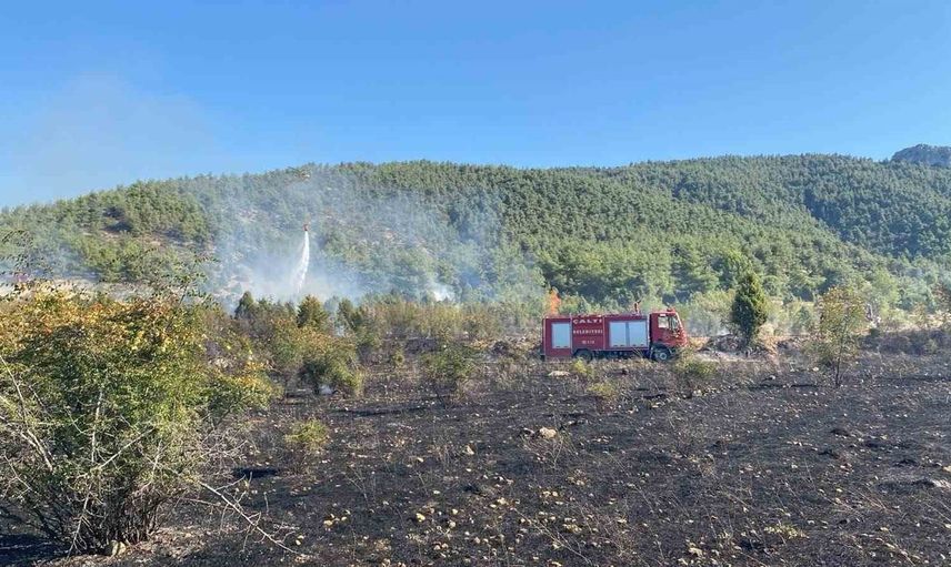 Samrı'daki tarla yangını ormanlık alan korunarak söndürüldü