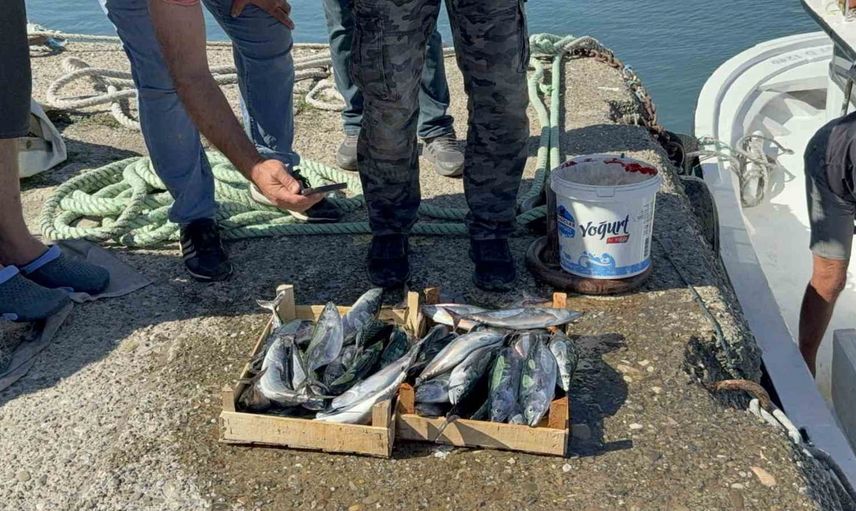 Zonguldak'ta sezon açılışında küçük tekneler 50 ton palamut avladı