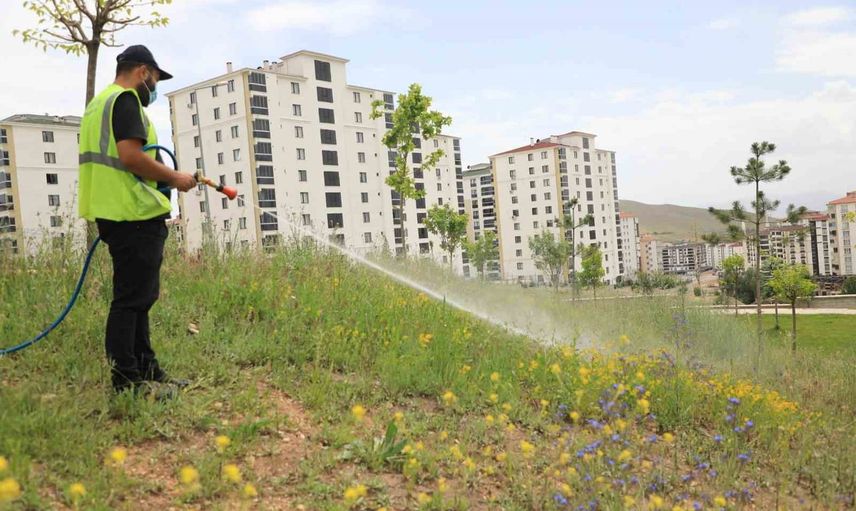 Elazığ'ta yaz konforu için kapsamlı ilaçlama seferberliği