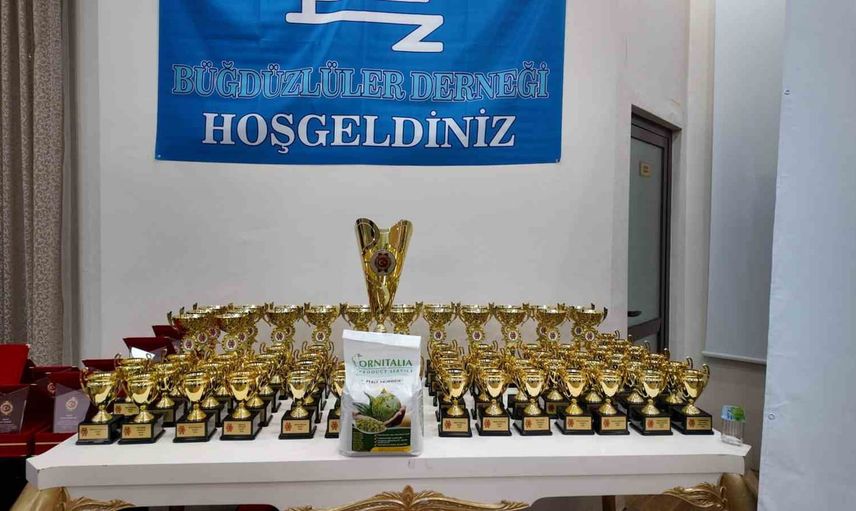Akyurt'ta kanarya tutkunları Gloster cinsinde buluştu