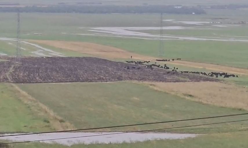 Ardahan'da sağanak ve dolu hayatı etkiledi, AFAD hasar tespitine başladı