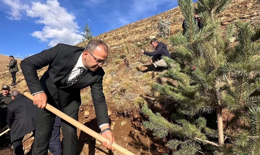 Palandöken'de uzlaşma ormanı: 35 hektarda 20 bin fidanla barış ve anma