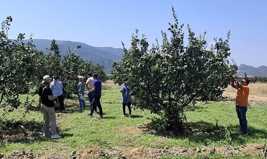 Osmaneli tarlalarında hastalık ve zararlı taraması yapıldı
