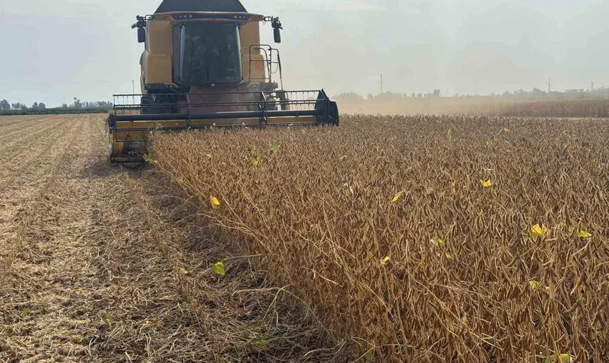 Adana'da soya hasadında ücret dengesi: tavsiye edilen biçerdöver tarifesi