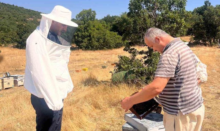 Arı kovanlarının kaydı için saha sayımları Afyonkarahisar'da sürüyor