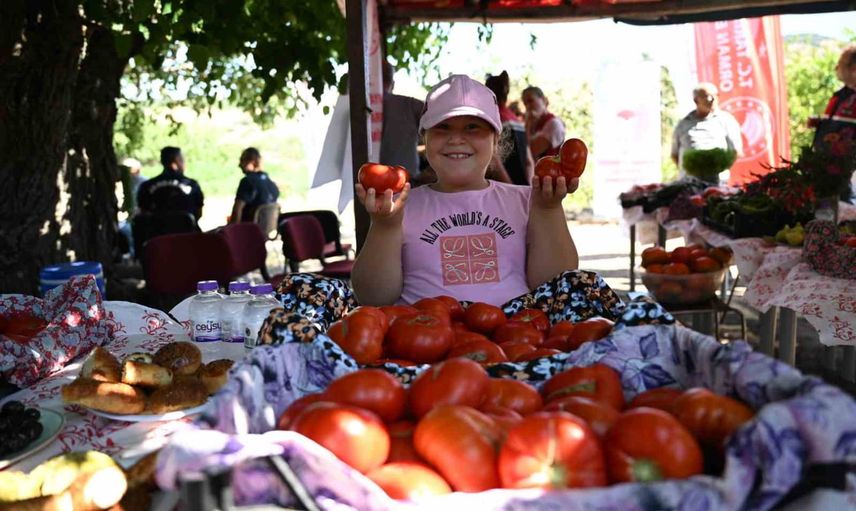 Yamanlar tarla domatesinde üretim ve koruma için sahada buluşma