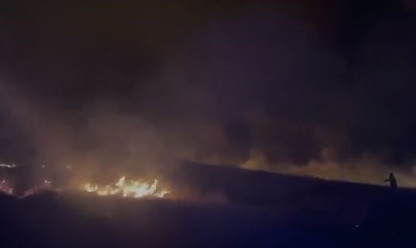 Gece başlayan dağ yangını Palu'da ekiplerin müdahalesiyle söndürüldü