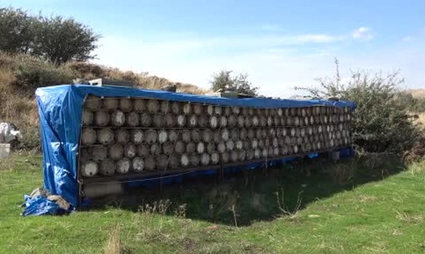 Bitlis'ten ödüllü tat: 2 bin 500 rakımda karakovan balı hasadı