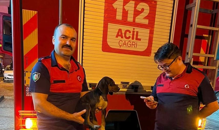 İtfaiyenin ani müdahalesi depodaki köpeğe yeni bir şans verdi