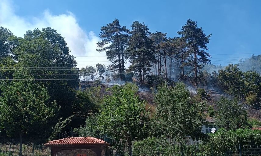 Kamu güvenliği teyakkuzda: Sinop'ta orman yangını sonrası bir kişi tutuklandı