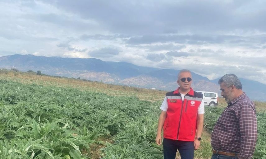 Gölhisar enginarında yeni hasat dönemine hazırlık