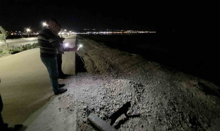 Sahil kayalıklarında oyun: Van kedisi fareyle yaklaşık iki saat oynadı