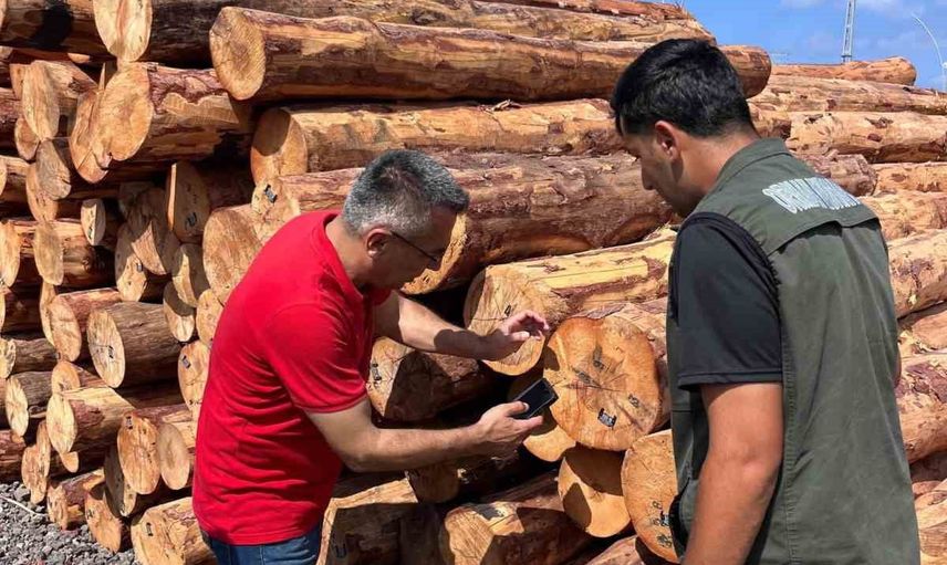 Orman deposunda barkod denetimi: İskenderun'da Günay saha çalışmalarını inceledi