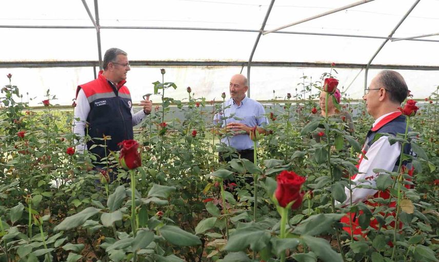 Samsun'da yıllık 7 milyon kesme çiçek üretimiyle büyüme ve katma değer hedefi