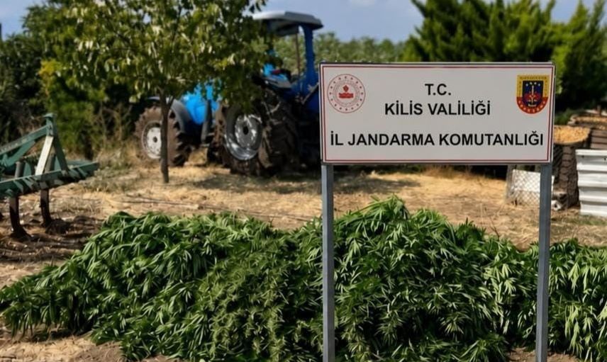 Kilis'te jandarmanın takibi sonucu 40 kilo 500 gram esrar ile 65 kenevir kökü bulundu