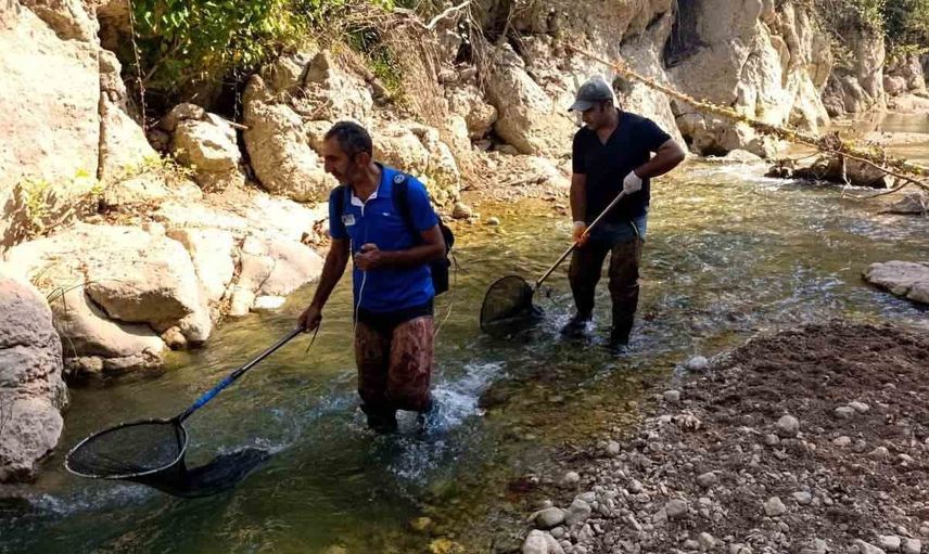 Kalealtı-1 barajı'nda sucul yaşamın haritası çıkarılıyor