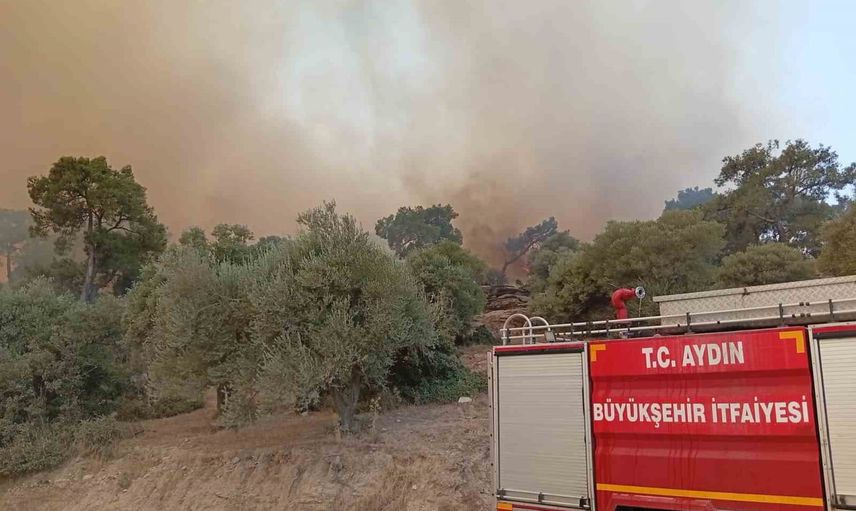 Alevlerin arasından canlı çıkarılan kaplumbağa itfaiyenin müdahalesiyle kurtuldu