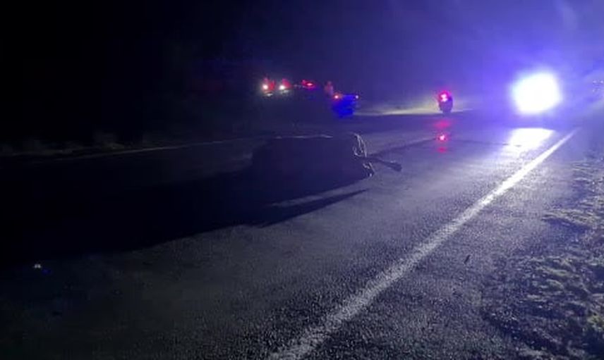 Zincirleme kaza yola çıkan ineğin çarpmasıyla 6 kişiyi yaraladı