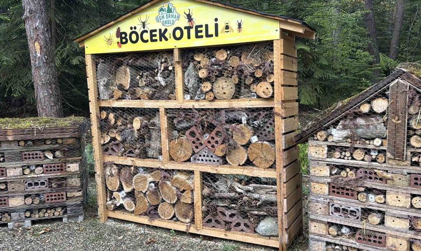 Doğayla ders zili: Bolu’da Türkiye’nin ilk orman okulu eğitime başladı