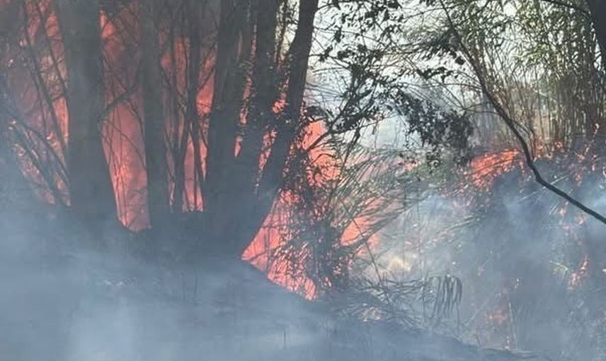 Antakya'da ağaçlık alandaki yangın ekiplerin müdahalesiyle büyümeden söndürüldü
