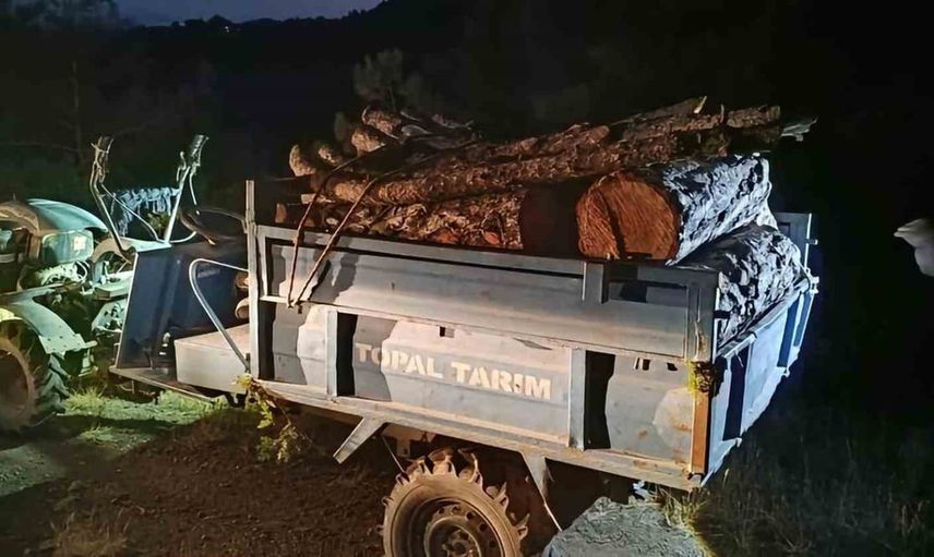 Antakya'da ormanda tahribat: usulsüz kesim yapanlar yakalandı