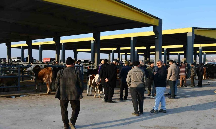 Kayseri tarım ve hayvancılıkta öncü şehir konumuna yükseldi