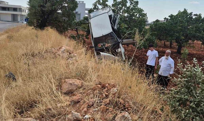 Kontrolden çıkan otomobil fıstık ağaçlarında asılı kaldı, 2 yaralı