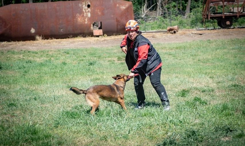 Muğla'nın arama kurtarma köpekleri Afyonkarahisar sınavını başarıyla tamamladı
