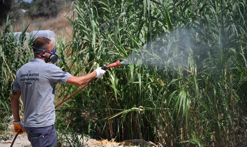 Kuşadası’nda haşereyle yıl boyu yürütülen saha çalışması