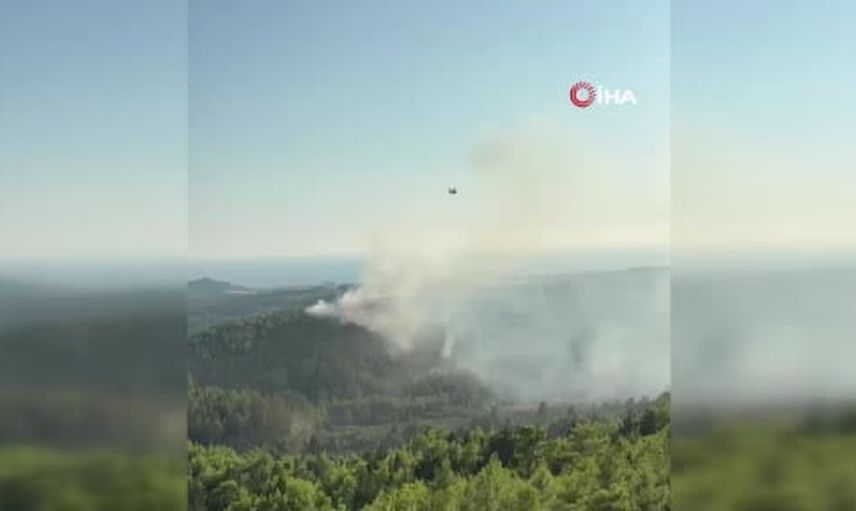 Manavgat’ta Örenşehir'de çıkan orman yangını hızlı müdahaleyle kontrol altına alındı