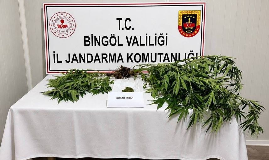Bingöl'de güvenlik uygulamasında kesinleşmiş hapis cezaları bulunan 6 zanlı tutuklandı