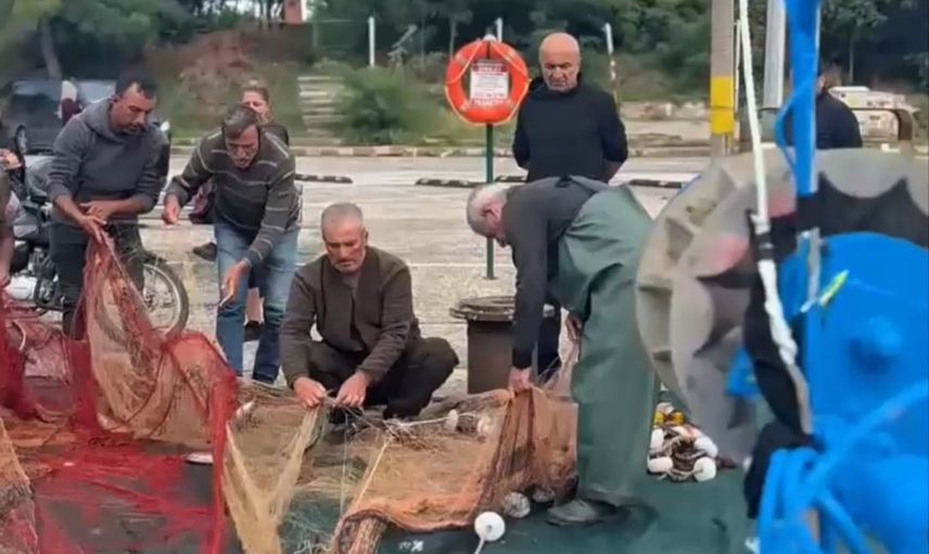 Ağlara takılan sürü: bir gecede yaklaşık 2 bin palamut